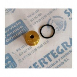 INYECTOR D4.70 mm G31 ECONCEPT